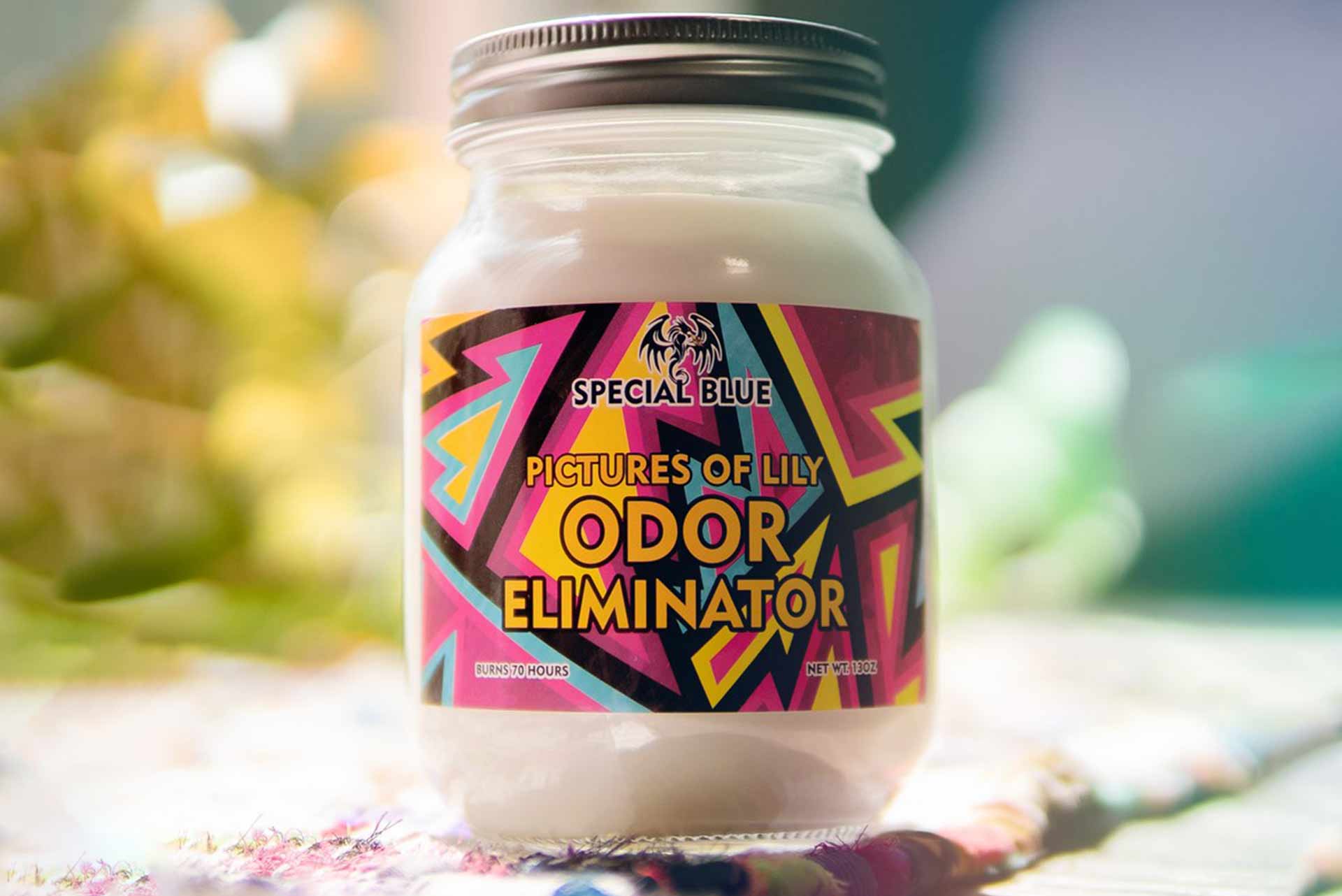 Odor Eliminator Candle