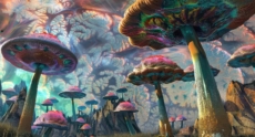 How long do magic mushrooms last